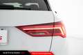 Audi Q3 35 TDI S tronic S line edition Bianco - thumbnail 13