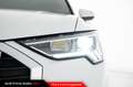 Audi Q3 35 TDI S tronic S line edition Bianco - thumbnail 12