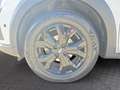 Dacia Jogger Extreme TCe Wit - thumbnail 13
