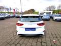 Kia Ceed / cee'd 1.0 T DCT Ultimate STD+Navi+Bluetooth+16Zoll Alb - thumbnail 5