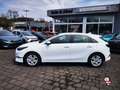 Kia Ceed / cee'd 1.0 T DCT Ultimate STD+Navi+Bluetooth+16Zoll Alb - thumbnail 7