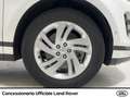 Land Rover Range Rover Evoque 2.0d i4 mhev r-dynamic hse awd 163cv auto - thumbnail 22