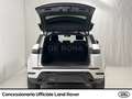 Land Rover Range Rover Evoque 2.0d i4 mhev r-dynamic hse awd 163cv auto - thumbnail 6