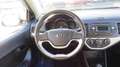 Kia Picanto 1,0 MPI Cool MT5 Grau - thumbnail 13