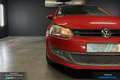 Volkswagen Polo SPORTLINE - 1,6 TDI 90CV - DSG6 | Carvertical Disp Orange - thumbnail 4