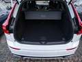 Volvo XC60 B4 Diesel R-Design AWD Pano ACC Leder Weiß - thumbnail 8