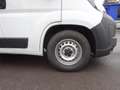 Peugeot Boxer Boxer 35+ L3H2 BlueHDi 140 S&S,Klima,Rückfahrka... Weiß - thumbnail 4