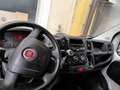 Fiat Ducato 30 L1H1 115 Білий - thumbnail 2