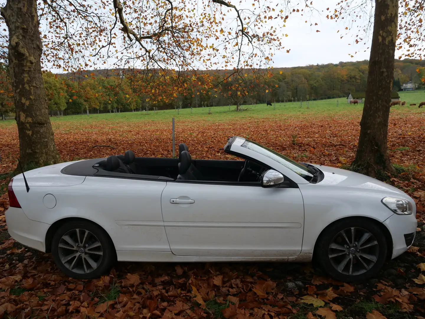 Volvo C70 Rdesign Blanco - 1