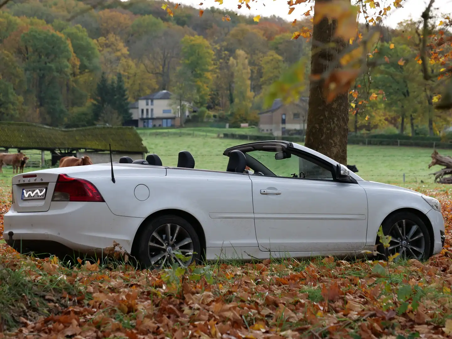 Volvo C70 Rdesign Wit - 2