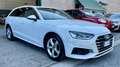 Audi A4 AUDI A4 AVANT 2.0 35 TDI S-TRONIC 163 CV - INTERNI Bianco - thumbnail 22