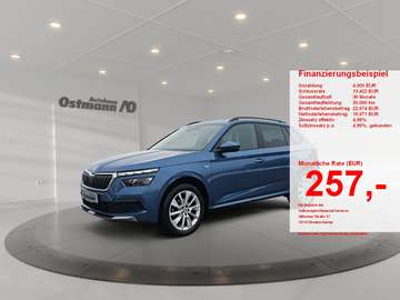 1.5 TSI Clever ACC AHK AUT DynLicht Kam.