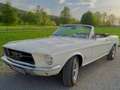 Ford Mustang Cabrio Beige - thumbnail 13