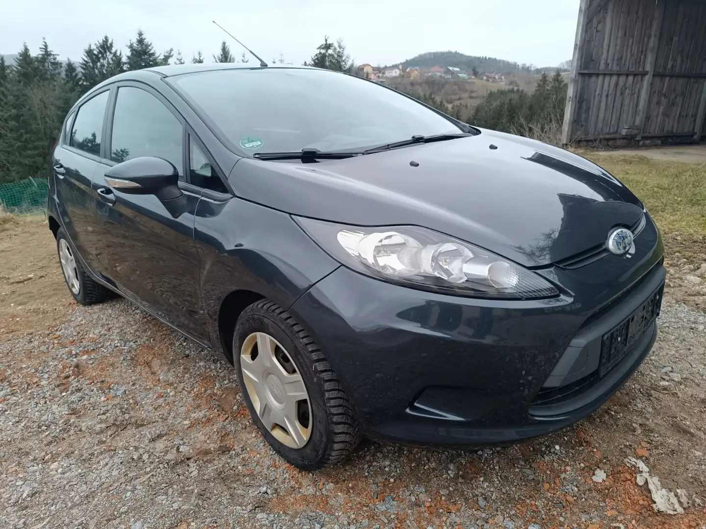 Ford Fiesta 1.25 Viva Blau - 2
