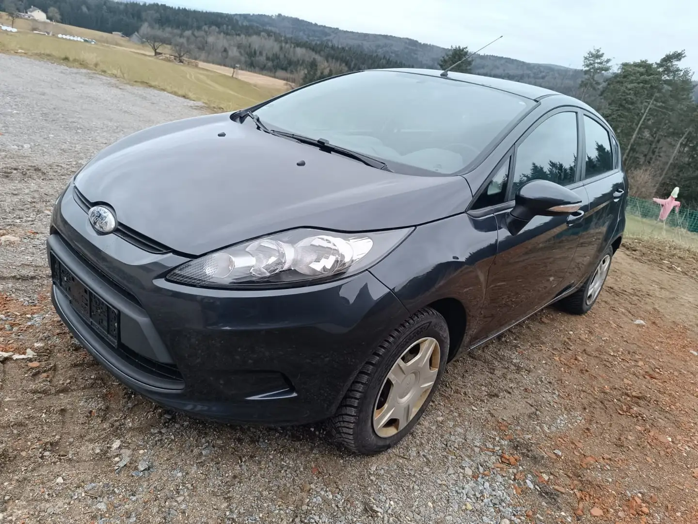Ford Fiesta 1.25 Viva Blau - 1
