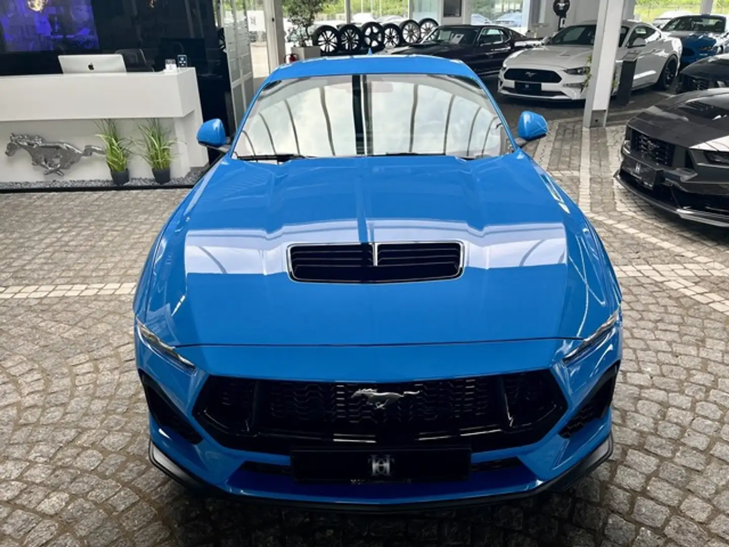 Ford Mustang 5.0 V8 GT Fastback |FRONT+RÜCKFAHRKAMERA Blau - 2
