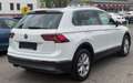 Volkswagen Tiguan Highline TSI ALLRAD TOP Ausstattung TÜV NEU AHK Weiß - thumbnail 6