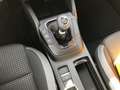 Ford Focus 1.0 EcoBoost 7 Jahre Garantie RFK LED Nero - thumbnail 15