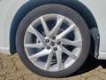SEAT Ibiza FR*Sport*PDC*Front Assist* Weiß - thumbnail 20