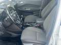 Ford C-Max C-MAX Titanium 1,5 TDCi Weiß - thumbnail 6
