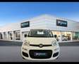 Fiat Panda 1.0 FireFly Hybrid Icon Blanc - thumbnail 2