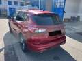 Ford Kuga Kuga 2.0  ST-Line awd 150cv auto - thumbnail 2
