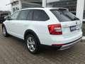 Skoda Octavia Scout 4x4 Autom. ACC PDC Navi Laneassist Blanc - thumbnail 8