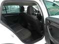 Skoda Octavia Scout 4x4 Autom. ACC PDC Navi Laneassist Blanc - thumbnail 19