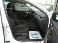 Skoda Octavia Scout 4x4 Autom. ACC PDC Navi Laneassist Blanc - thumbnail 18