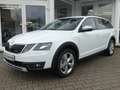 Skoda Octavia Scout 4x4 Autom. ACC PDC Navi Laneassist Blanc - thumbnail 1