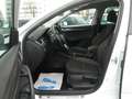 Skoda Octavia Scout 4x4 Autom. ACC PDC Navi Laneassist Blanc - thumbnail 10