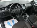 Skoda Octavia Scout 4x4 Autom. ACC PDC Navi Laneassist Blanc - thumbnail 12