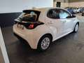 Toyota Yaris Yaris 1.5 Hybrid 5 porte Business Bianco - thumbnail 5
