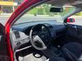 Volkswagen Polo Export & Händler Rot - thumbnail 6