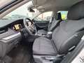 Skoda Octavia Combi 2,0 TDI Style DSG Weiß - thumbnail 12