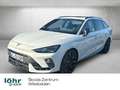 CUPRA Leon Sportstourer VZ Extreme 333PS ABGABE 01.2026 Weiß - thumbnail 1