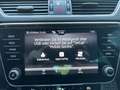 Skoda Superb 4x4 Ambition TDI DSG Blau - thumbnail 9