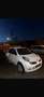 Nissan Micra ENTREPRISE 1.2 L 65 25E ANNIVERSAIRE - thumbnail 2