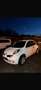 Nissan Micra ENTREPRISE 1.2 L 65 25E ANNIVERSAIRE - thumbnail 4