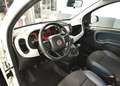 Fiat Panda Panda 1.0 firefly hybrid City Cross Weiß - thumbnail 11