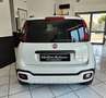 Fiat Panda Panda 1.0 firefly hybrid City Cross Weiß - thumbnail 5