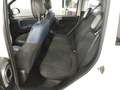 Fiat Panda Panda 1.0 firefly hybrid City Cross Weiß - thumbnail 14