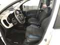 Fiat Panda Panda 1.0 firefly hybrid City Cross Weiß - thumbnail 12