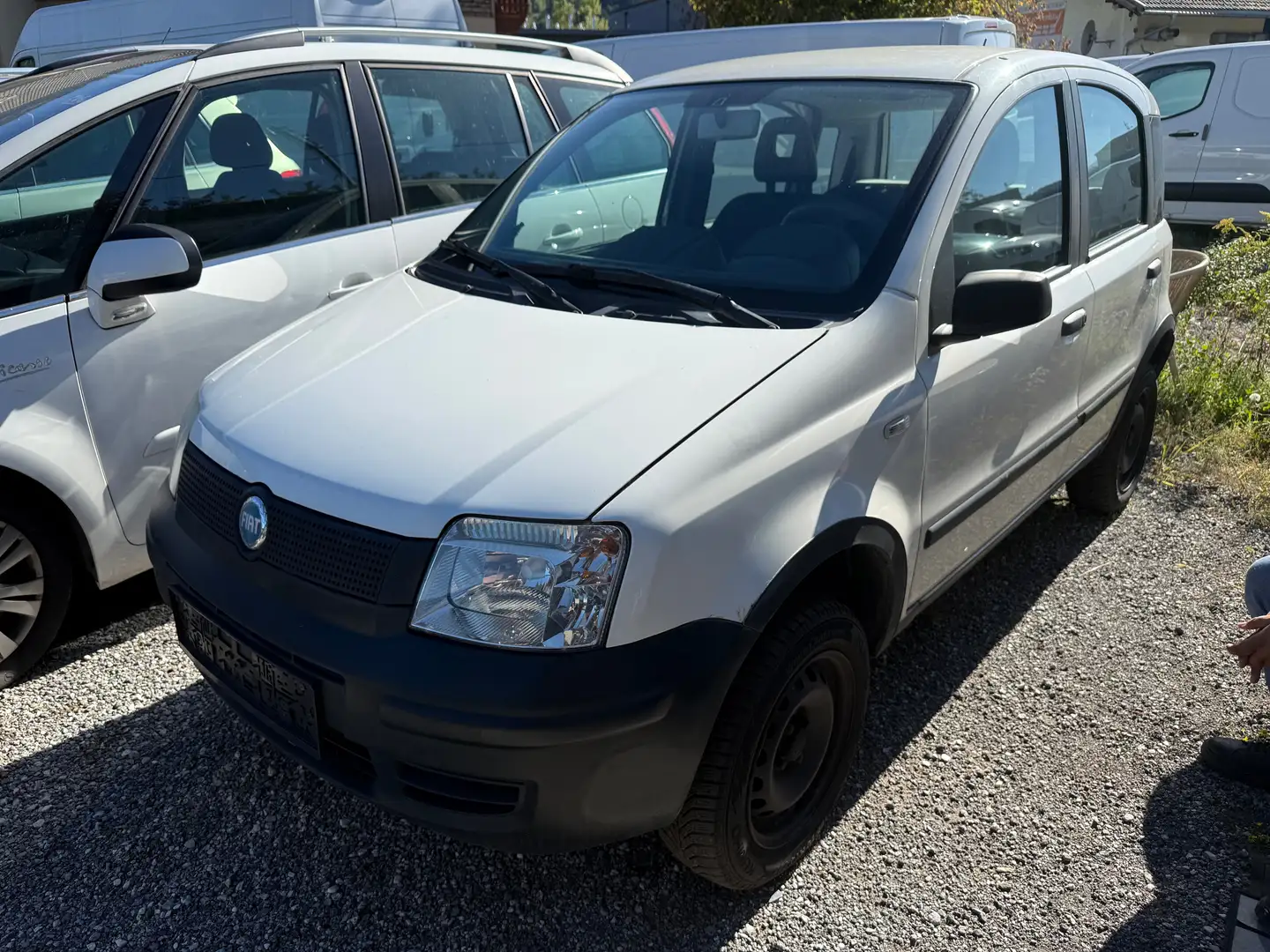 Fiat Panda 1.2 Trekking 4X4 Weiß - 1