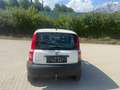 Fiat Panda 1.2 Trekking 4X4 Weiß - thumbnail 6