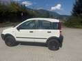 Fiat Panda 1.2 Trekking 4X4 Weiß - thumbnail 5