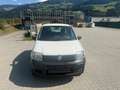 Fiat Panda 1.2 Trekking 4X4 Weiß - thumbnail 2