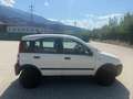 Fiat Panda 1.2 Trekking 4X4 Weiß - thumbnail 3