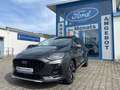 Ford Fiesta 1.0 EcoBoost M-Hybrid Active X SHZ RFK Grau - thumbnail 4