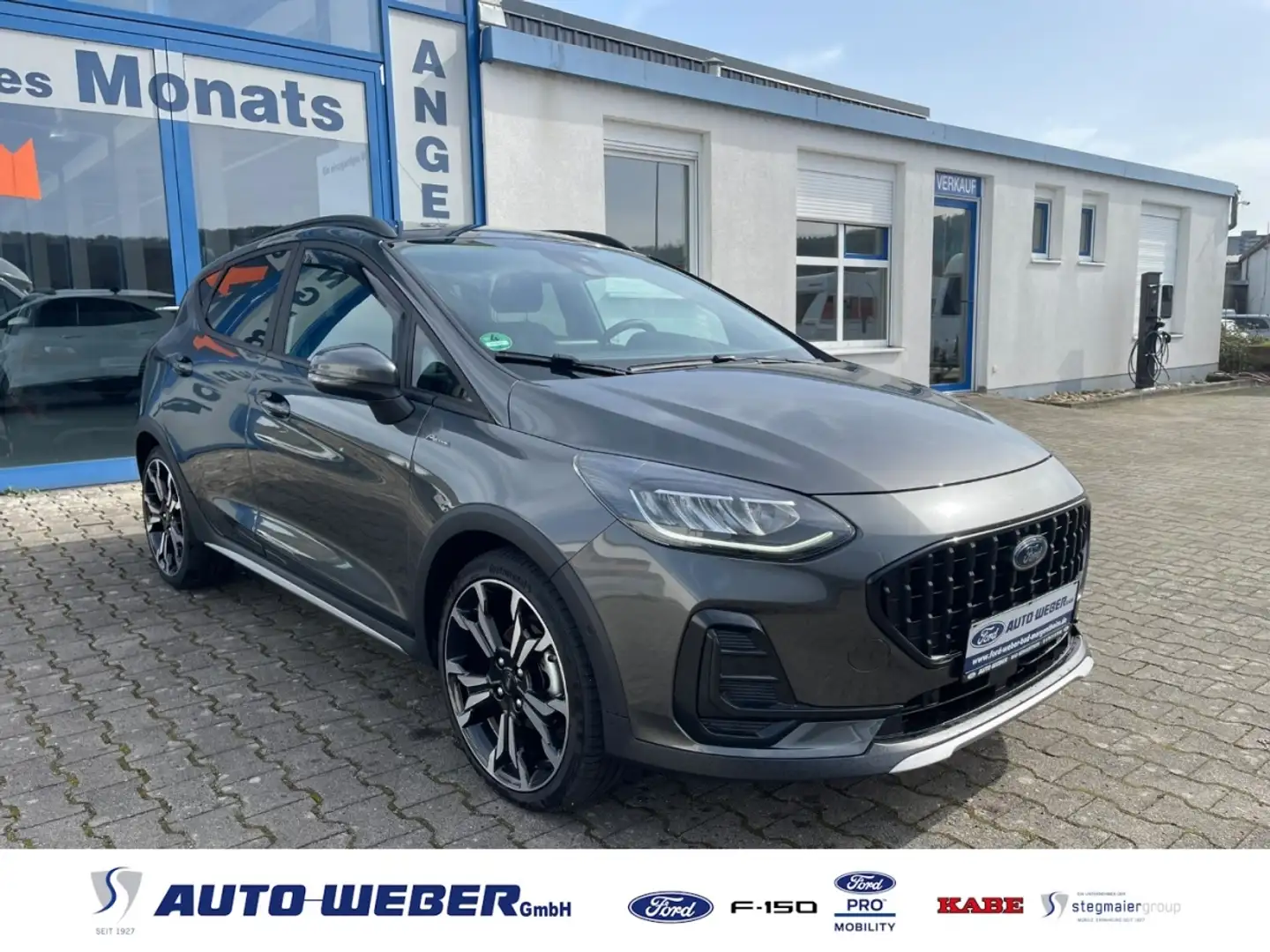 Ford Fiesta 1.0 EcoBoost M-Hybrid Active X SHZ RFK Grau - 1